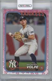 2024 TOPPS Japan Cherry Blossoms #10 / ANTHONY VOLPE(New York Yankees) 【69/99】