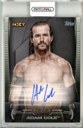 2021 TOPPS WWE Undisputed  Adam Cole Superstar Roster Autograph 034/199