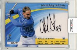 2022 横浜DeNAベイスターズ ユーズドボールカードシリーズ ネフタリ・ソト 直筆サイン&プロフィールカード【08/31】