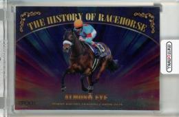 EPOCH ホースレーシング 2025 上半期総集編 アーモンドアイ The History of Racehorse【05/46】