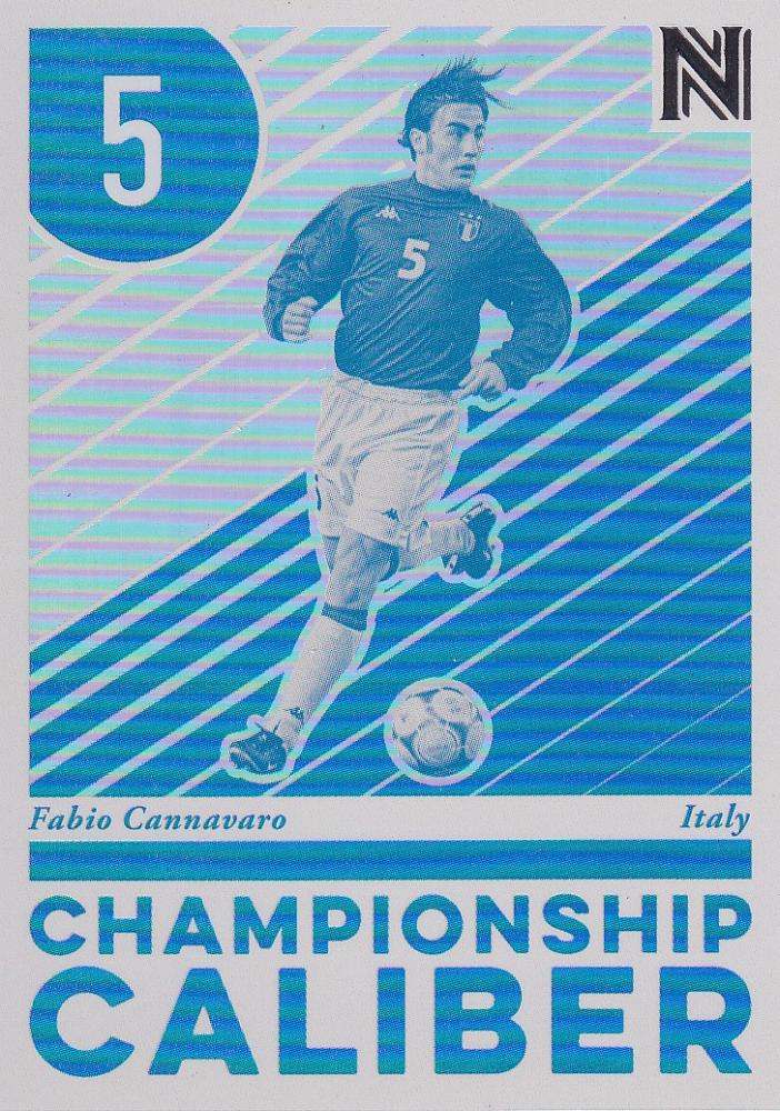 ファビオ カンナバーロ Panini 直筆サイン トレーディングカード
