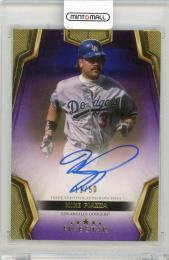 2024 TOPPS Five Star Mike Piazza Autographs Purple #FSAMP【11/50】 Los Angeles Dodgers