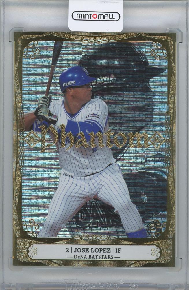 横浜 DeNA ベイスターズ　ホセ・ロペス　バット 横浜 DeNA ベイスターズ ホセ・ロペス バット 【公式通販】