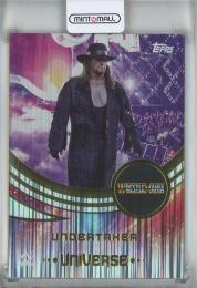 2025 Topps Universe WWE Undertaker Flare #235
