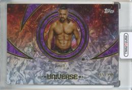 2025 Topps Universe WWE Angel Purple Glass #106【135/399】