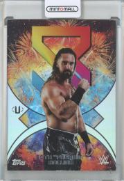 2025 Topps Universe WWE Seth "Freakin" Rollins Namesakes #NMS11