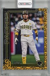 2025 Topps Series 2 Luis Arraez Team Color Border Variations #393 ※白かけあり San Diego Padres