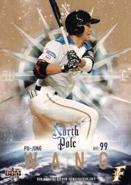 2019 BBM 北海道日本ハムファイターズ  王柏融 インサートカード「North Pole」金紙版パラレル版 101/120