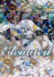 2019 BBM 福岡ソフトバンクホークス  甲斐拓也 インサートカード「Elevated」金紙ホロPP版パラレル版 47/50