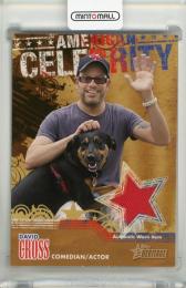 2009 Topps Heritage American Heroes David Cross American Celebrity Relics #DC