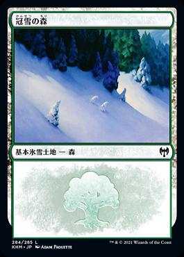 SLD)Snow-Covered Forest(005)(F)/冠雪の森 | 神話レア・レア