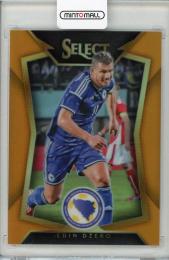 2015 Panini Select Bosnia-Herzegovina Edin Dzeko Base Variations Orange(パラレル版) 100/149