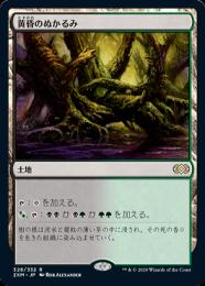 黄昏のぬかるみ/Twilight Mire  EVE英語foil ミントモール / MINT GAMES MTG(東日本橋) / 【2XM】【ENG