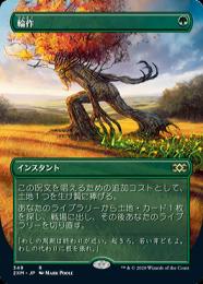 ミントモール / MINT GAMES MTG(東日本橋) / 【2XM】【JPN