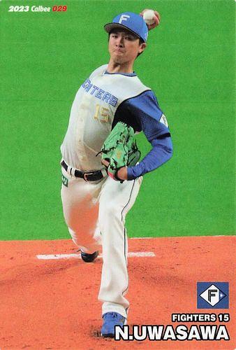 ミントモール / MINT BASE店 (TCシングル通販) / 2023 カルビー プロ