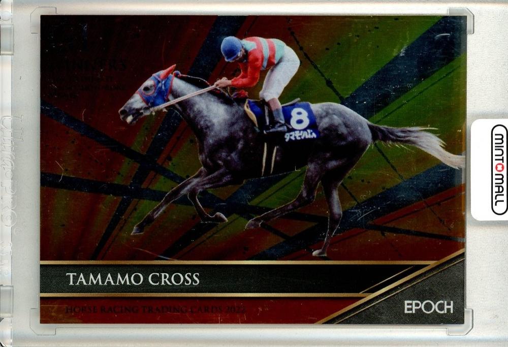 EPOCH HORSE RACING TRADING CARDS