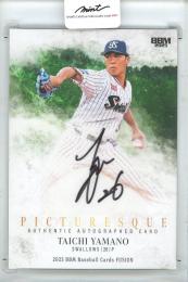 2025 BBM FUSION	山野太一	直筆サインカード	29/30