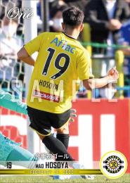 ミントモール / 検索結果 細谷真大