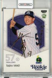 BBM ルーキーエディション 2025 矢野泰二郎 金箔サインカード【008/100】 東京ヤクルトスワローズ