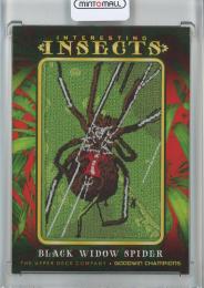 2022 Upper Deck Goodwin Champions  Black Widow Spider Interesting Insects Manufactured Patches