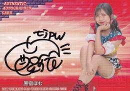2021 BBM 女子プロレスカード プロレス 原宿ぽむ 直筆サインカード 017/100