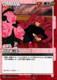 ガンダムウォー  尊き御言葉　TS版  C-12