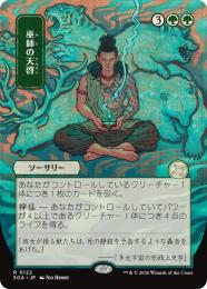 【SOA】【JPN】〈122-R-G〉《巫師の天啓/Shamanic Revelation》日本画版