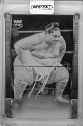 2021 Topps WWE Undisputed  Yokozuna Base Superstar Roster Printing Plates Black (パラレル版)(1of1!) 1/1