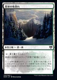 【KHM】【JPN】《森林の地割れ/Woodland Chasm》