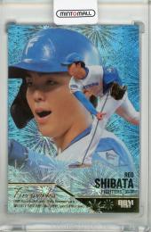 BBM 35周年&週刊ベースボール4000号スペシャルバージョン 柴田獅子 FIREWORKS 金箔版【268/300】 北海道日本ハムファイターズ