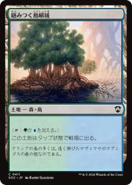 【SOC】【JPN】〈411-C-L〉《絡みつく島嶼域/Tangled Islet》