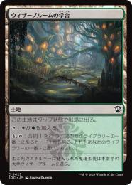 【SOC】【JPN】〈423-C-L〉《ウィザーブルームの学舎/Witherbloom Campus》