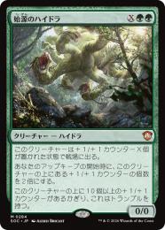 【SOC】【JPN】〈284-M-G〉《始源のハイドラ/Primordial Hydra》