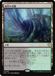 【SOC】【JPN】〈389-R-L〉《屍花の交錯/Necroblossom Snarl》