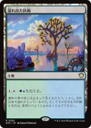 【SOC】【JPN】〈392-R-L〉《溢れ出た区画/Overflowing Basin》