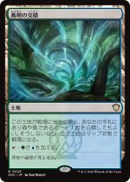 【SOC】【JPN】〈420-R-L〉《蔦明の交錯/Vineglimmer Snarl》