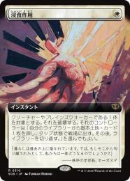 MTG/ODY/土を食うもの/英/4枚 土を食うもの/Terravore》[ODY] 緑R | 日本最大級 MTG通販サイト