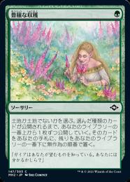 ミントモール / MINT GAMES MTG(東日本橋) / 【CMM】【ENG】《豊穣な