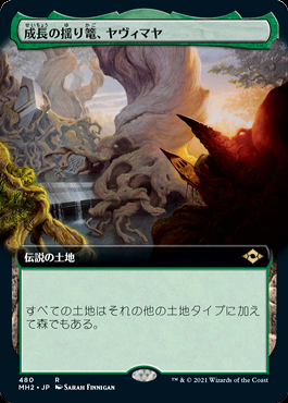 MTG 成長の揺り篭、ヤヴィマヤ 旧枠 英語 3枚セット 日】成長の揺り篭、ヤヴィマヤ/Yavimaya, Cradle of Growth[土地