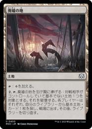 MTG 廃墟の地　旧枠　foil ミントモール / MINT GAMES MTG(東日本橋) / 【TSR】【ENG】【Foil