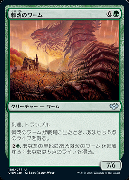 ミントモール / MINT GAMES MTG(東日本橋) / 【VOW】【JPN】【Foil