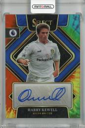 ハリー・キューウェル　KEWELL リバプール　LIVERPOOL プレミア リバプール/02-04/H #7 ハリー・キューウェル プレミアパッチ付