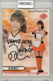 2022 BBM DANCING HEROINE 矢作明子 直筆サイン【25/90】 VENUS