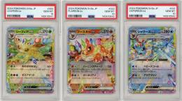 《【連番9枚セット】テラスタルフェスex ブイズRR(ブラッキーのみPSA8)/-》[-](RR)【PSA10】Gem-MINT