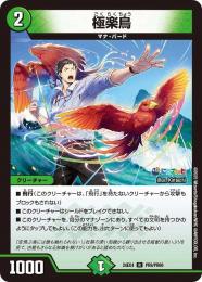 【DM24-EX4】極楽鳥(R)[PR8/PR60]
