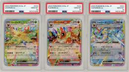 《【連番9枚セット】テラスタルフェスex ブイズRR(サンダース・ブラッキーのみPSA9)/-》[-](RR)【PSA10】Gem-MINT