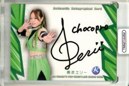 2025 BBM 女子プロレス 奏衣エリー ルーキー 直筆サインカード【046/100】