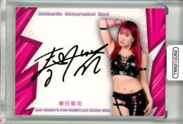 工場直売 ミントモール 女子プロレスカード BBM 2019 / 新宿店 MINT / ベースボール･マガジン
