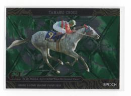 2019 EPOCH ホースレーシング Vol.2  タマモクロス インサートカード 14/26