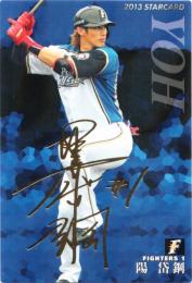 2013 カルビー 日本ハム STARCARD  陽岱鋼 金箔サインパラレル S-13